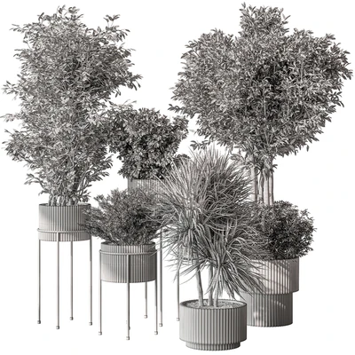 Indoor Plant 532 -Tree in Pot — Вид 3