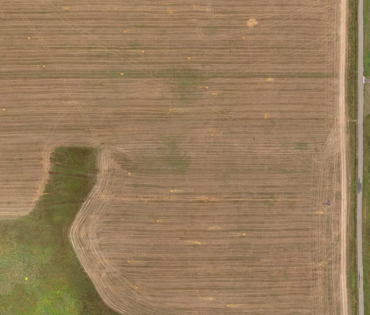 field summer 049 — Descargar