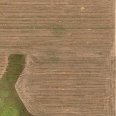 field summer 049 — Descargar