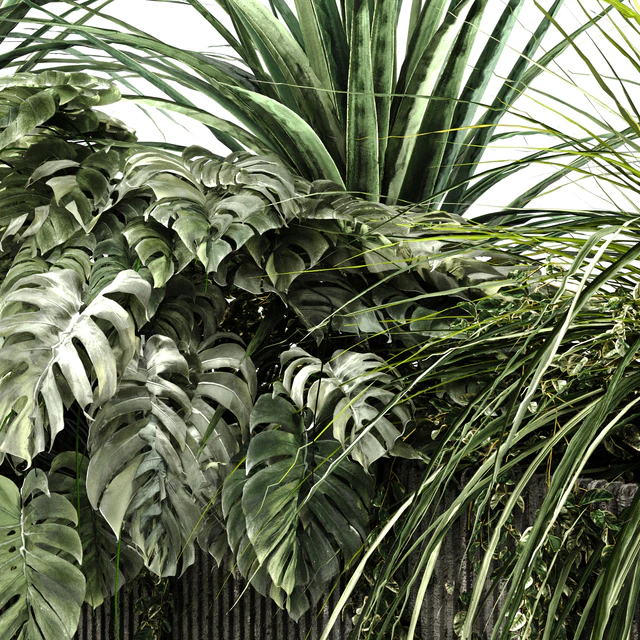 Outdoor Plant BOX-V6 — Скачать