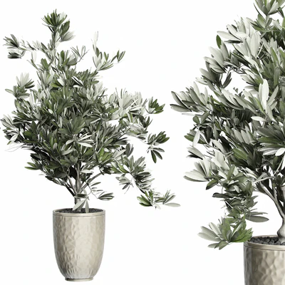 Flower Pack 123 - Olive Tree — Ver 1
