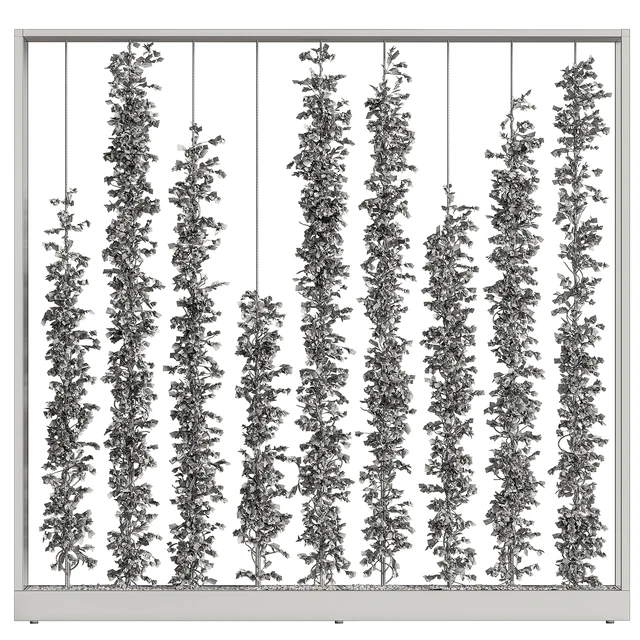 Green Wall - Plants partition 06 — Descargar