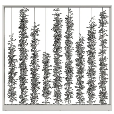 Green Wall - Plants partition 06 — Ver 2