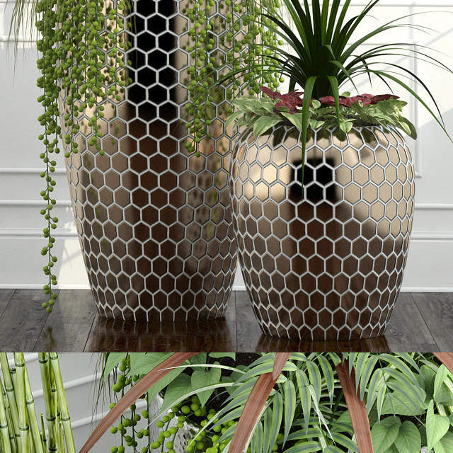 Room plants 12 — Descargar