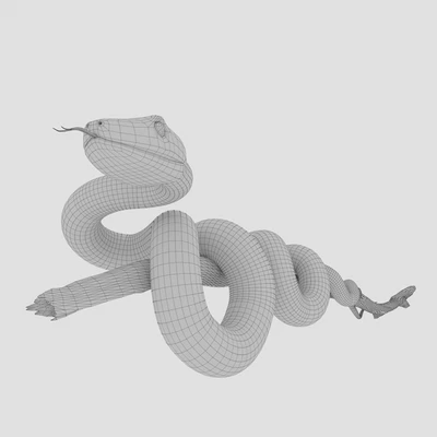 Змея — Вид 2
