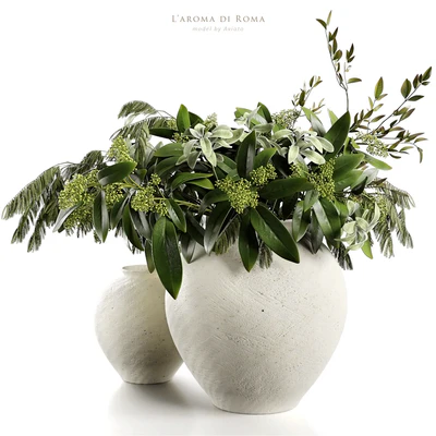 L'aroma di Roma — Ver 1