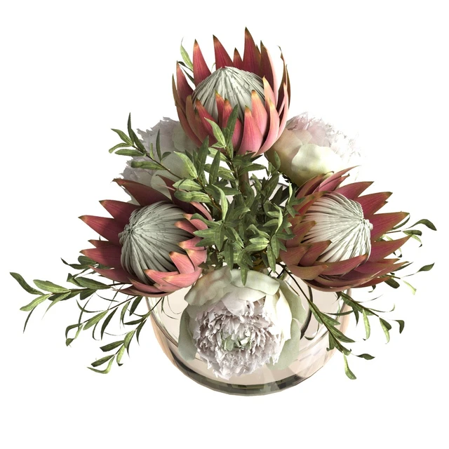 Bouquet with peonies and proteas — Descargar