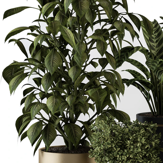 indoor Plant Set 378- Tree and Plant Set in pot — Descargar
