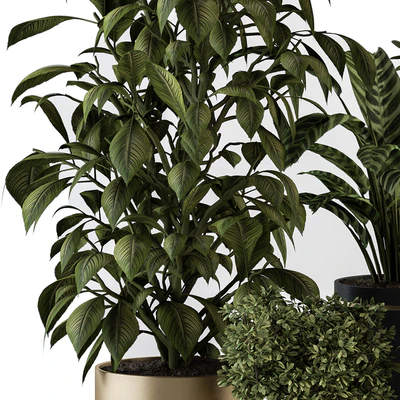 indoor Plant Set 378- Tree and Plant Set in pot — Ver 2