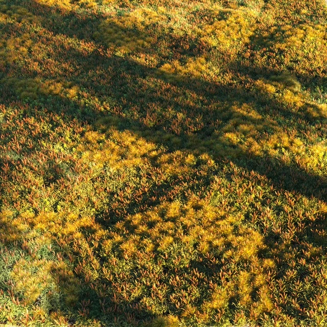 Grass set 2 — Скачать