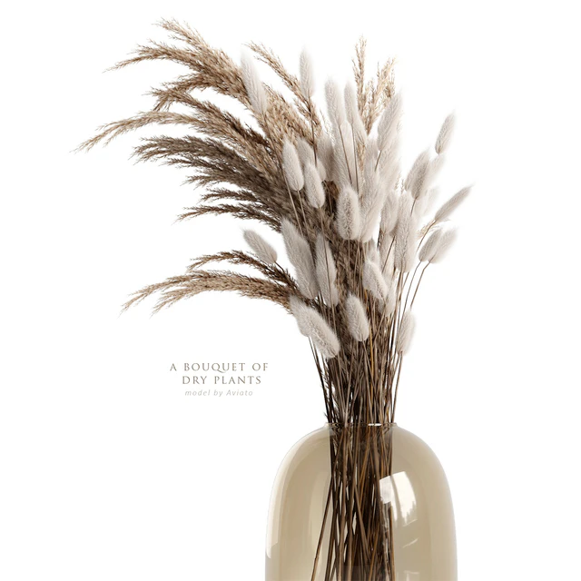 A bouquet of dry plants — Descargar