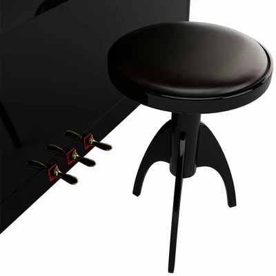 Piano PETROF P 118 S1, Piano chair Discacciati — Ver 2