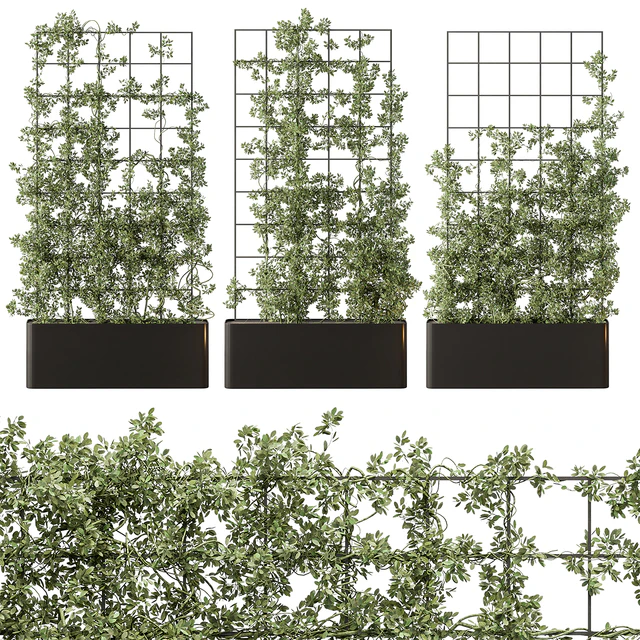 Vertical Garden Partiton - Set 101 — Скачать