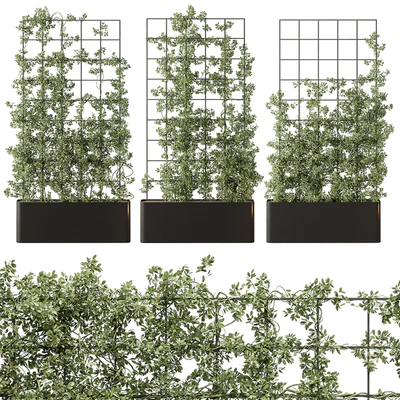 Vertical Garden Partiton - Set 101 — Вид 1