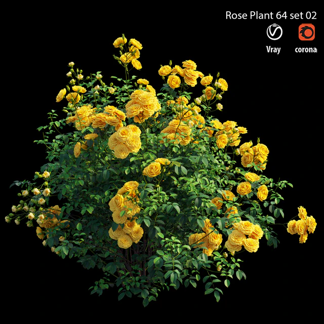 Rose plant 64 set 02 — Скачать