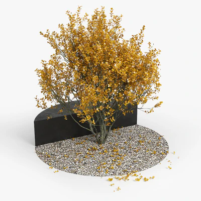 Autumn — Ver 4