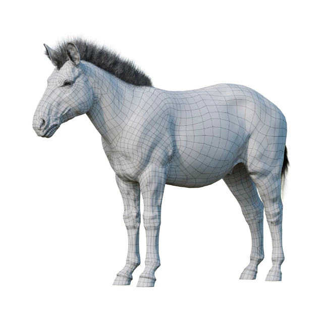Zebra — Скачать