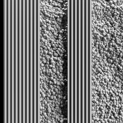 Vertical garden and planks 2 — Вид 2