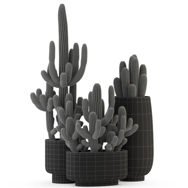 Plants collection 317 — Скачать