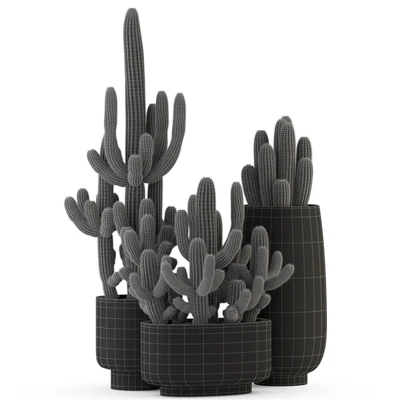 Plants collection 317 — Вид 2