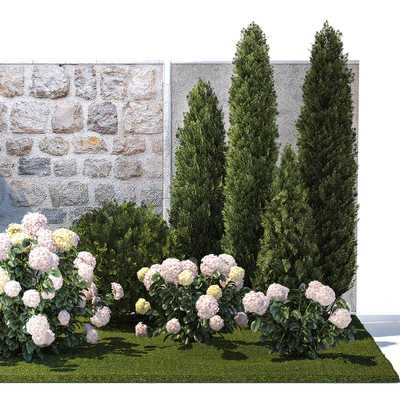 Collection of plants garden with bushes and trees for landscape design with thuja, cypress, flowering Hydrangea white. Set 1378. — Ver 3