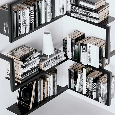 Books on the shelves — Ver 2
