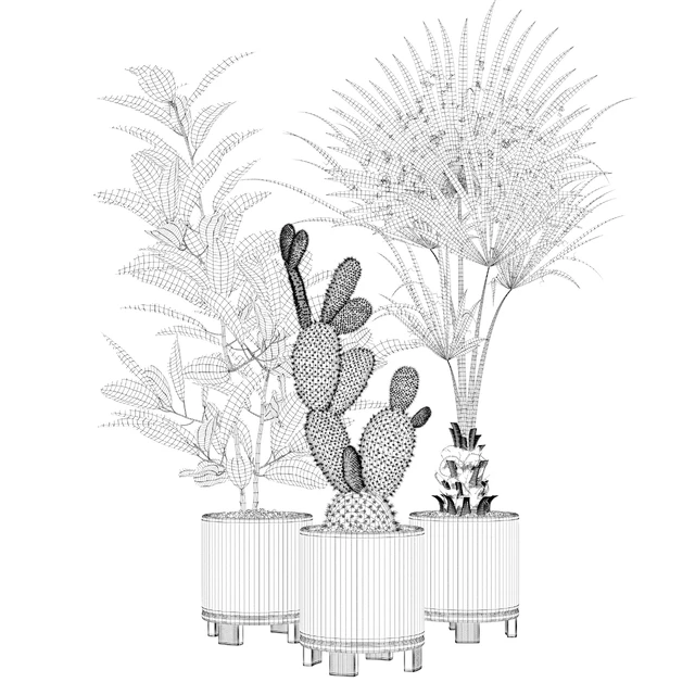 Plants collection 056 — Descargar