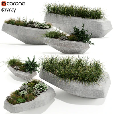 Plants collection 132 indigenus steen — Вид 1