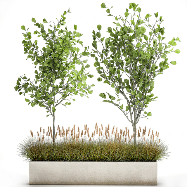 Collection of plants in a pot with hazel, linden and reed trees, bushes. 1066 — Descargar