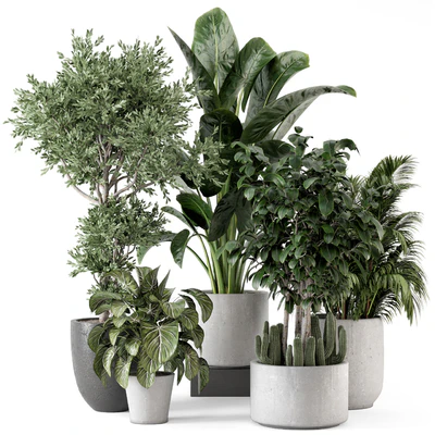 Indoor Plants in rusty Concrete Pot - Set 584 — скачать