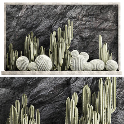 Desert plants cacti with wall rock, black pebbles, cereus, echinocactus, Barrel cactus. Plant collection 1279 — скачать
