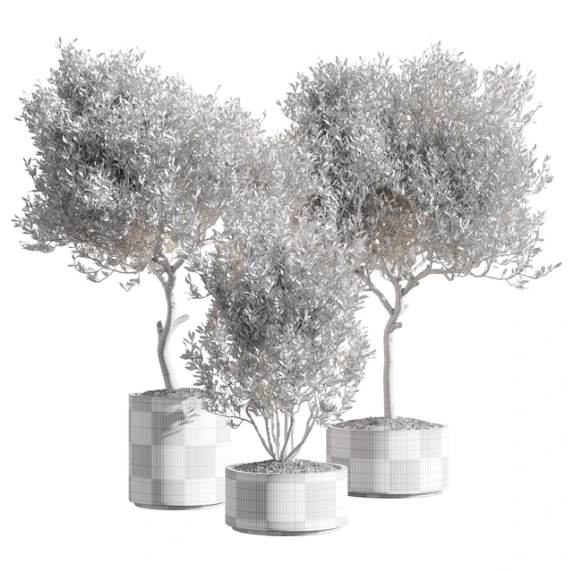 Set of indoor living plants in pots 34 — Descargar