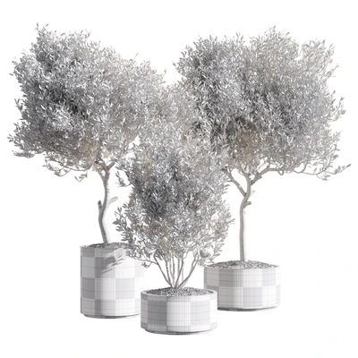 Set of indoor living plants in pots 34 — Ver 3