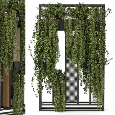Indoor Hanging Plants in Metal Stand - Set 1005 — Ver 2