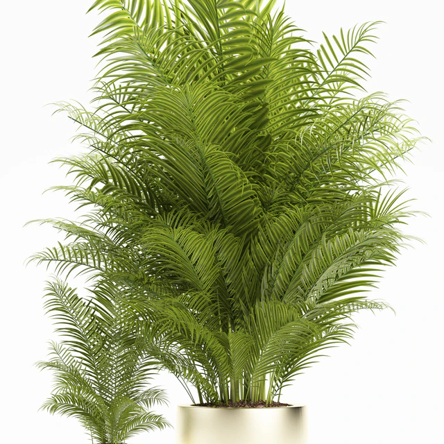 PLANTS 156 — Descargar