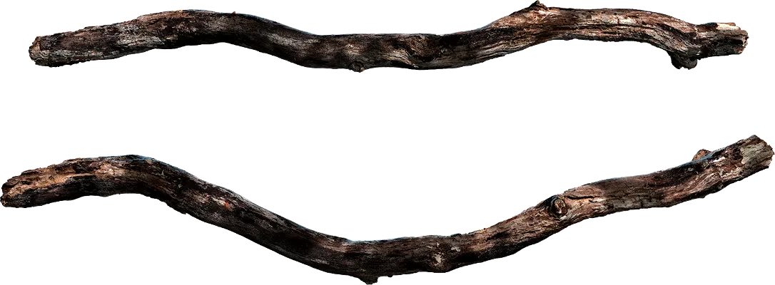 tree branch 014 — Скачать