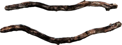 tree branch 014 — Скачать