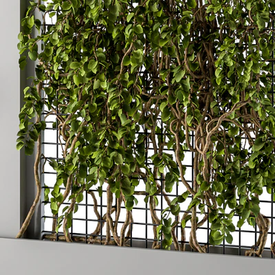 ivy Box Plants Gray — Ver 2