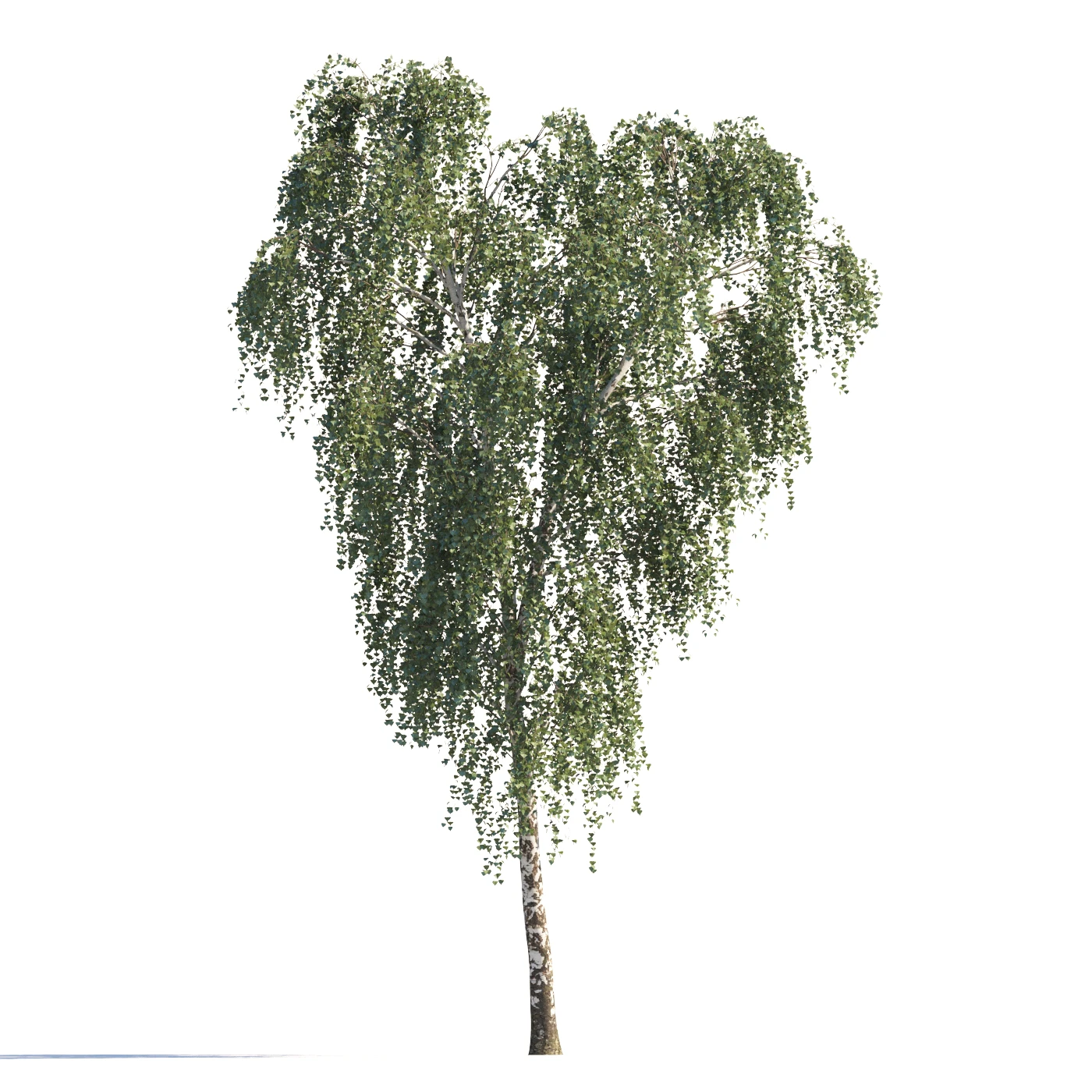 087 summer — Download