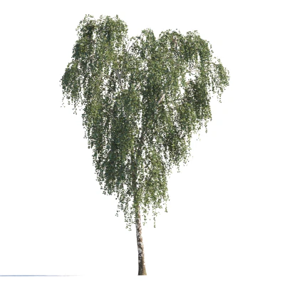 087 summer — download