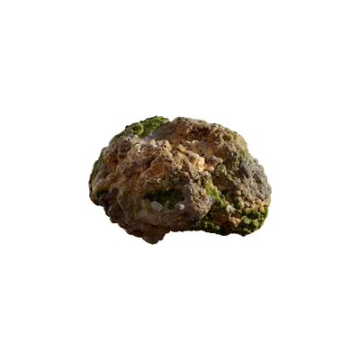 thai beach coral 001 — Download