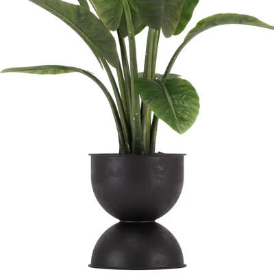 indoor plant set 36 — Ver 3