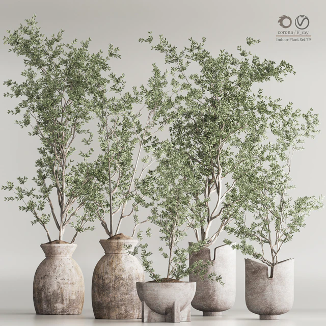 Indoor Plant Set 79 — Descargar