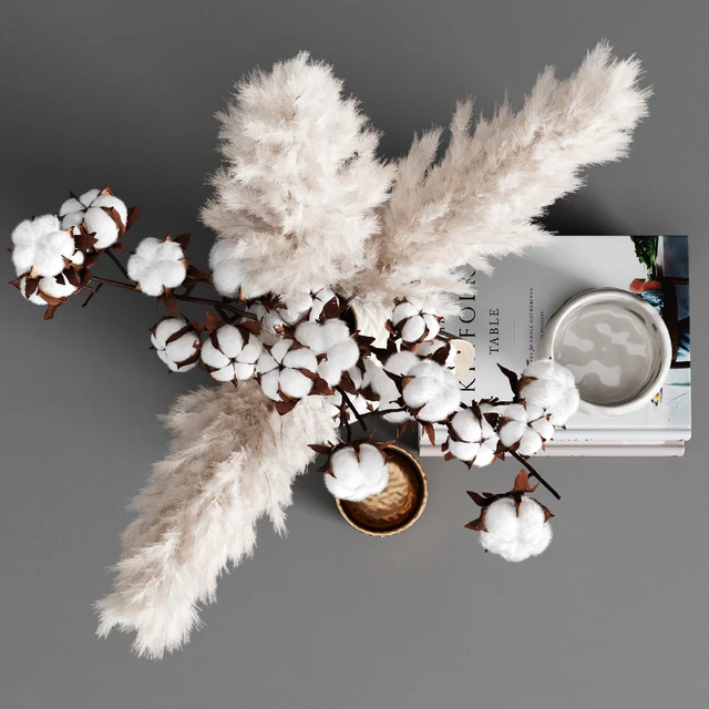 Decorative set pampas — Descargar