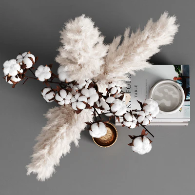 Decorative set pampas — Ver 3