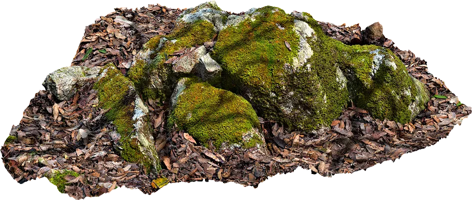 mossy rocky ground 012 — Скачать