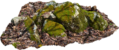 mossy rocky ground 012 — Скачать