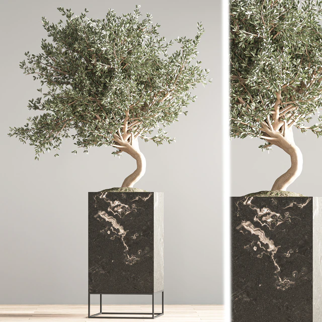 indoor plant set 39 — Descargar