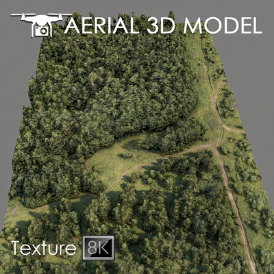 Forest 74 — Ver 3