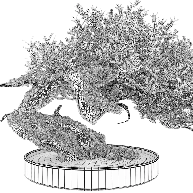 Bonsai plant 03 — Descargar